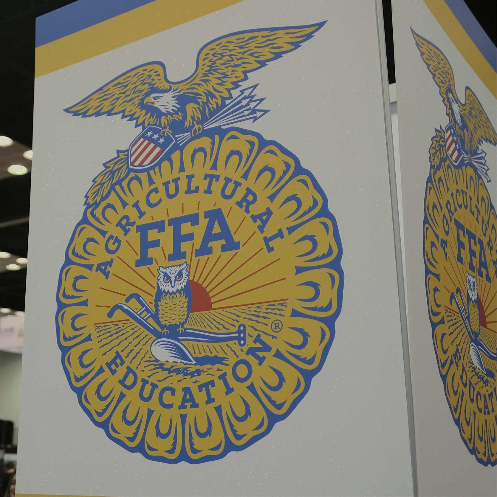 Ffa Inforgraphic FFA Store