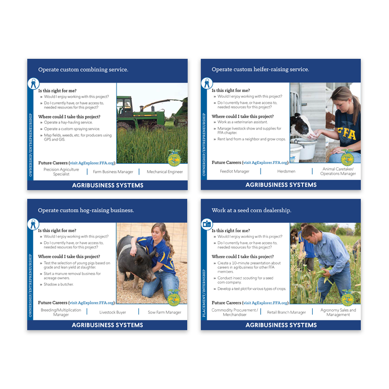 Agribusiness Systems SAE Idea Cards (English)
