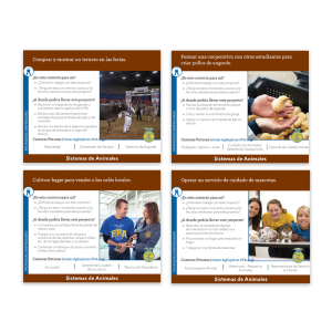 Sistemas de Animales Tarjetas de Ideas SAE