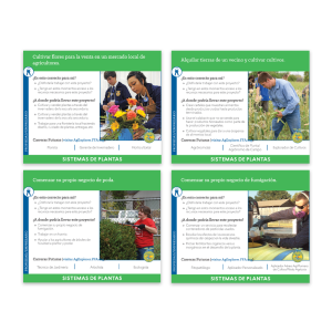 Sistemas de Plantas Tarjetas de Ideas SAE