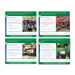 Sistemas de Servicios Ambientales Tarjetas de Ideas SAE